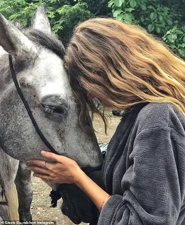 Gisele put her head on her gray horse