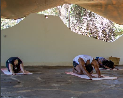 yoga shala 2